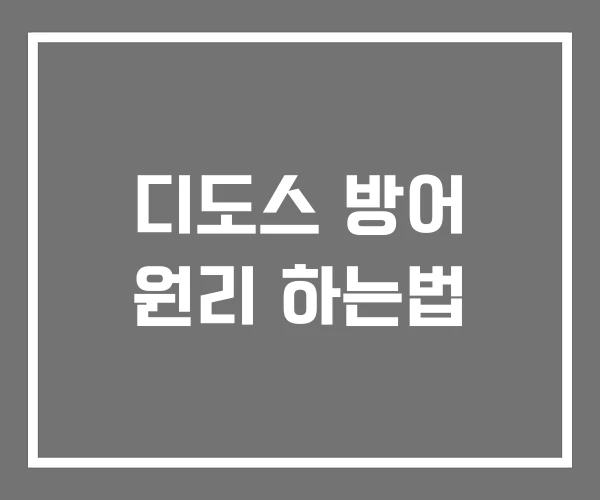 디도스 방어 원리 하는법 디도스 방어 원리 하는법