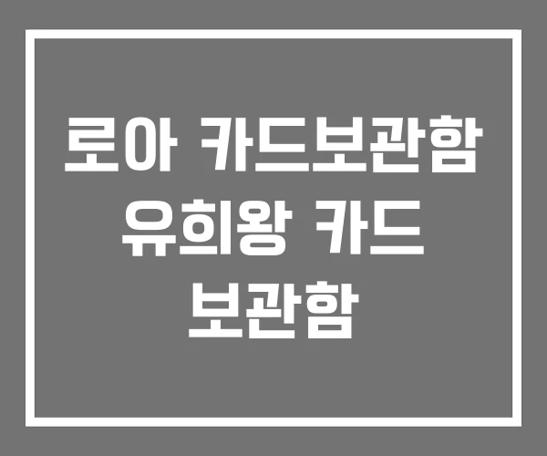 로아 카드보관함 유희왕 카드 보관함