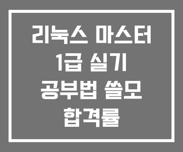 리눅스 마스터 1급 실기 공부법 쓸모 합격률
