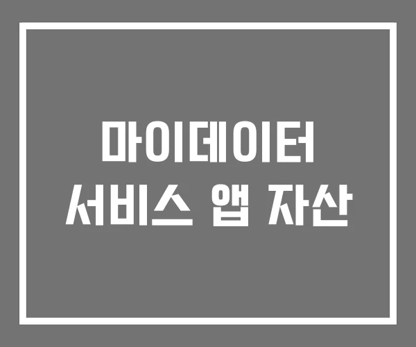 마이데이터 서비스 앱 자산 마이데이터 서비스 앱 자산