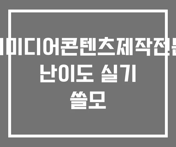 멀티미디어콘텐츠제작전문가 난이도 실기 쓸모