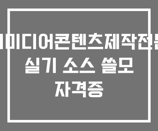 멀티미디어콘텐츠제작전문가 실기 소스 쓸모 자격증