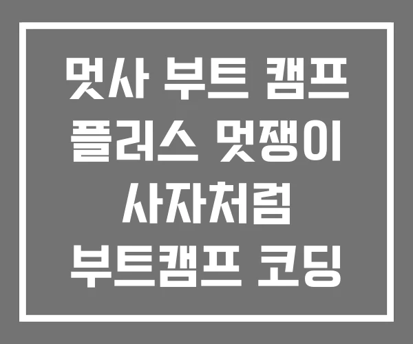 멋사 부트 캠프 플러스 멋쟁이 사자처럼 부트캠프 코딩