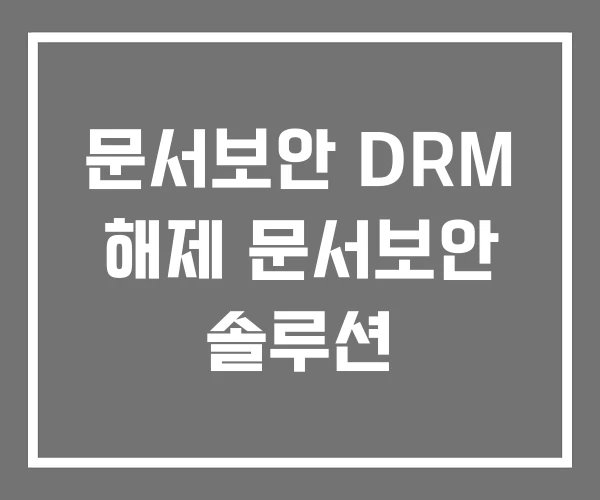 문서보안 DRM 해제 문서보안 솔루션 문서보안 DRM 해제 문서보안 솔루션