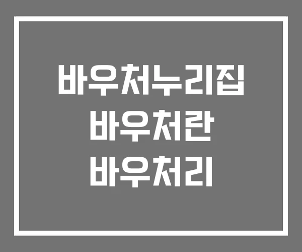 바우처누리집 바우처란 바우처리 바우처누리집 바우처란 바우처리