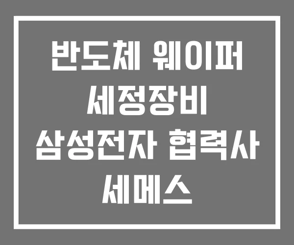 반도체 웨이퍼 세정장비 삼성전자 협력사 세메스 반도체 웨이퍼 세정장비 삼성전자 협력사 세메스