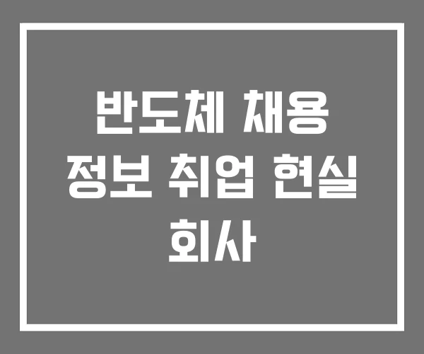 반도체 채용 정보 취업 현실 회사