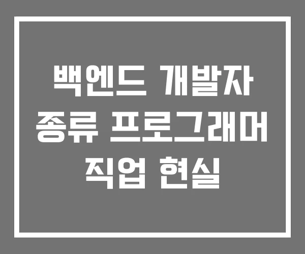 백엔드 개발자 종류 프로그래머 직업 현실