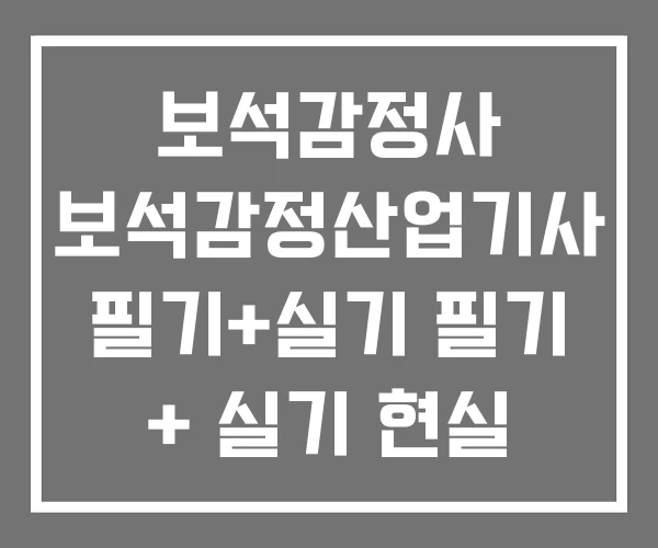 보석감정사 보석감정산업기사 필기+실기 필기 + 실기 현실