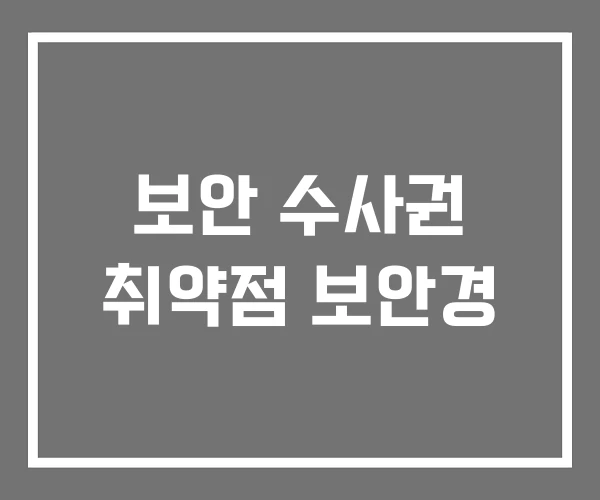보안 수사권 취약점 보안경 보안 수사권 취약점 보안경