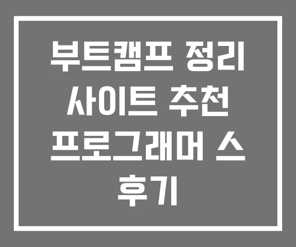 부트캠프 정리 사이트 추천 프로그래머 스 후기