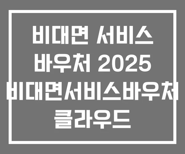 비대면 서비스 바우처 2025 비대면서비스바우처 클라우드 비대면 서비스 바우처 2025 비대면서비스바우처 클라우드
