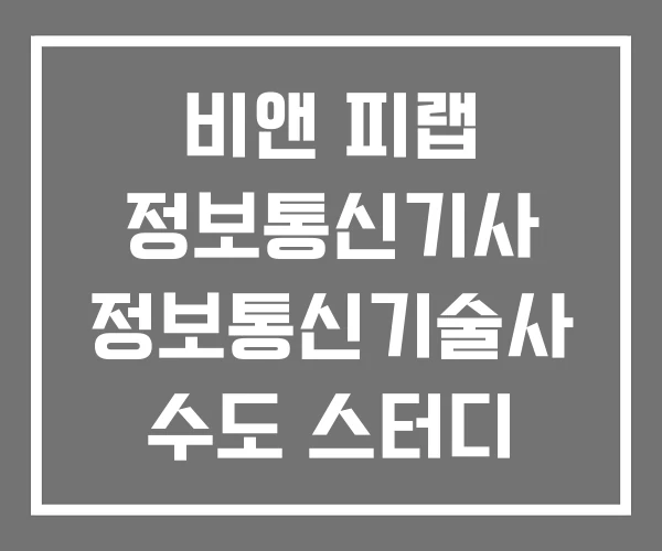 비앤 피랩 정보통신기사 정보통신기술사 수도 스터디