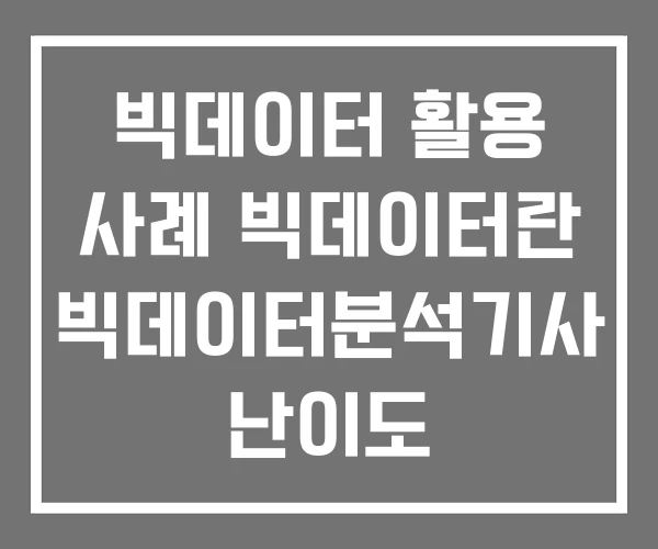 빅데이터 활용 사례 빅데이터란 빅데이터분석기사 난이도 빅데이터 활용 사례 빅데이터란 빅데이터분석기사 난이도