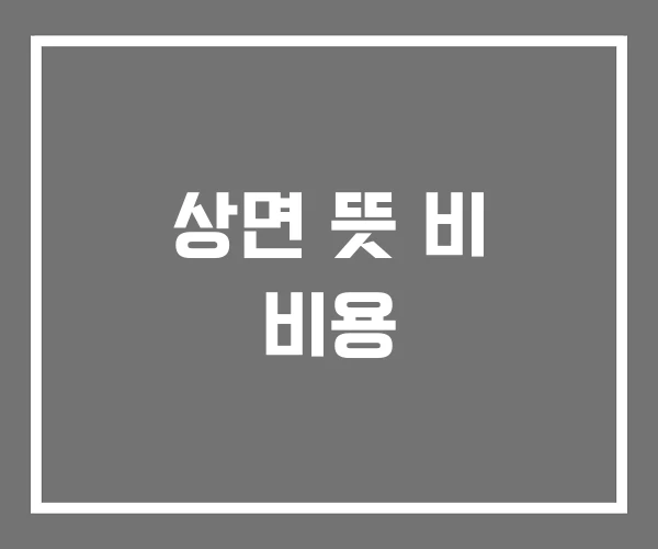 상면 뜻 비 비용