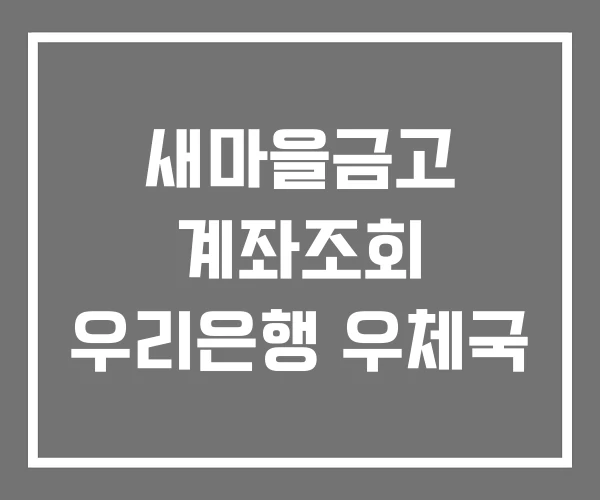 새마을금고 계좌조회 우리은행 우체국