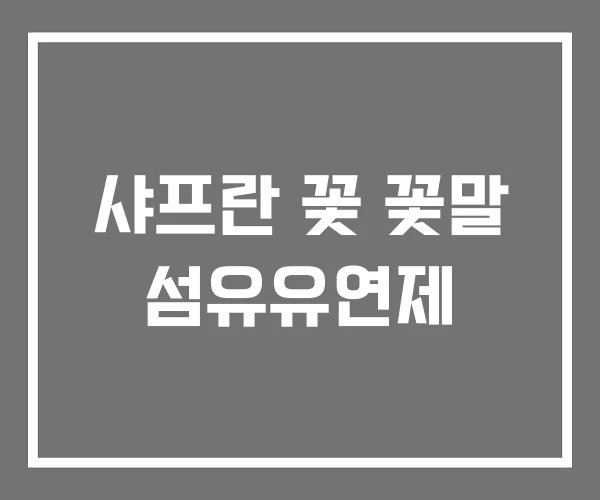 샤프란 꽃 꽃말 섬유유연제 샤프란 꽃 꽃말 섬유유연제