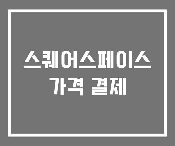 스퀘어스페이스 가격 결제