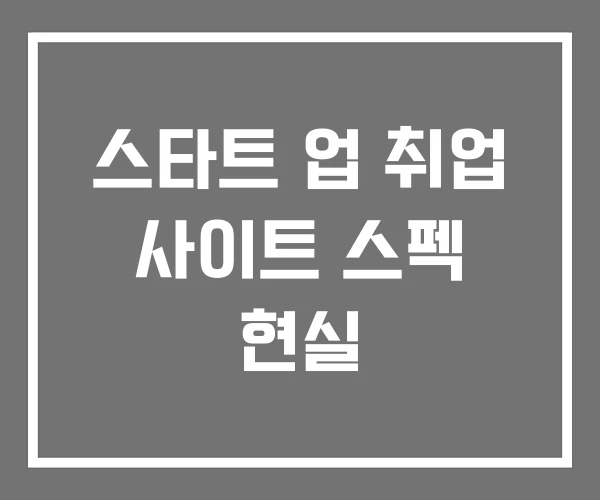 스타트 업 취업 사이트 스펙 현실