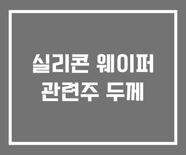 실리콘 웨이퍼 관련주 두께 실리콘 웨이퍼 관련주 두께