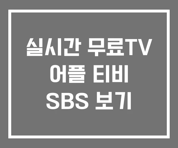 실시간 무료TV 어플 티비 SBS 보기