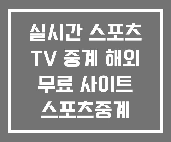 실시간 스포츠 TV 중계 해외 무료 사이트 스포츠중계 실시간 스포츠 TV 중계 해외 무료 사이트 스포츠중계