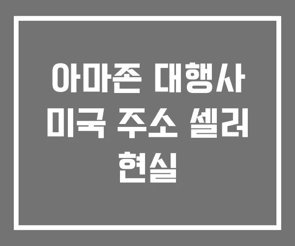 아마존 대행사 미국 주소 셀러 현실 아마존 대행사 미국 주소 셀러 현실