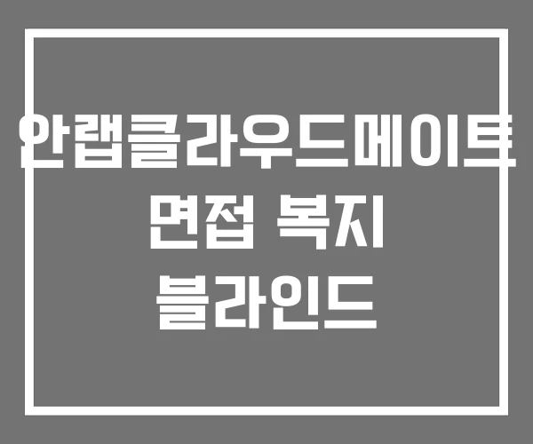 안랩클라우드메이트 면접 복지 블라인드 안랩클라우드메이트 면접 복지 블라인드