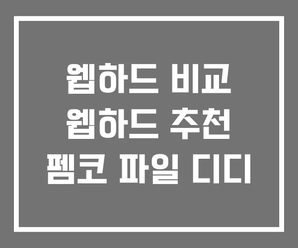 웹하드 비교 웹하드 추천 펨코 파일 디디