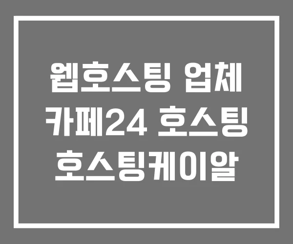 웹호스팅 업체 카페24 호스팅 호스팅케이알 웹호스팅 업체 카페24 호스팅 호스팅케이알