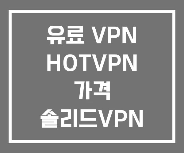 유료 VPN HOTVPN 가격 솔리드VPN