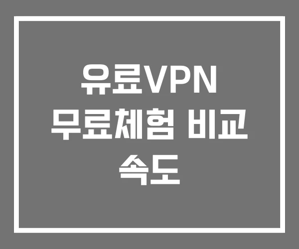 유료VPN 무료체험 비교 속도 유료VPN 무료체험 비교 속도