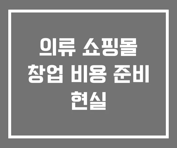 의류 쇼핑몰 창업 비용 준비 현실 의류 쇼핑몰 창업 비용 준비 현실