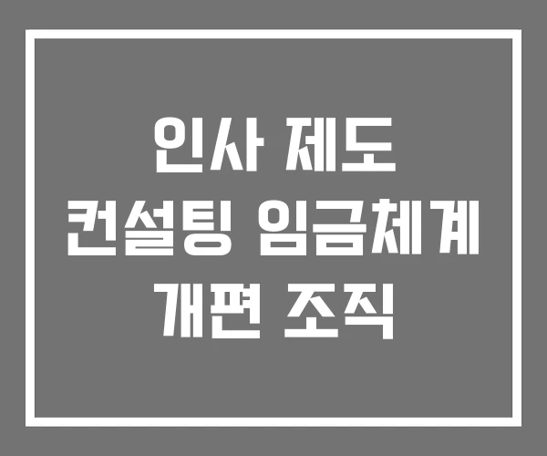 인사 제도 컨설팅 임금체계 개편 조직