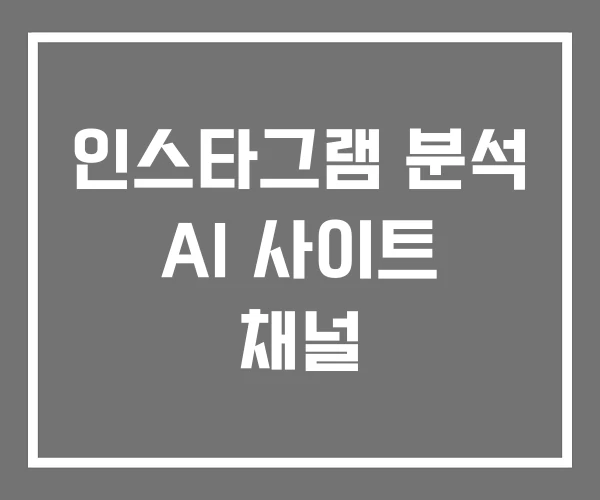 인스타그램 분석 AI 사이트 채널