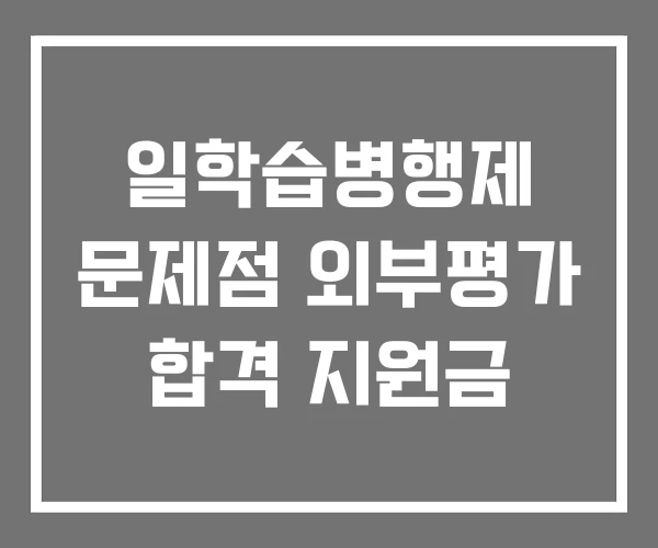 일학습병행제 문제점 외부평가 합격 지원금 일학습병행제 문제점 외부평가 합격 지원금