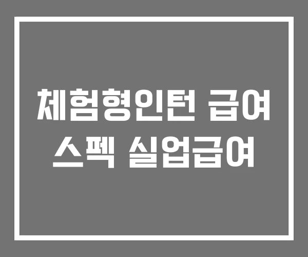 체험형인턴 급여 스펙 실업급여 체험형인턴 급여 스펙 실업급여
