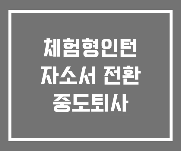 체험형인턴 자소서 전환 중도퇴사
