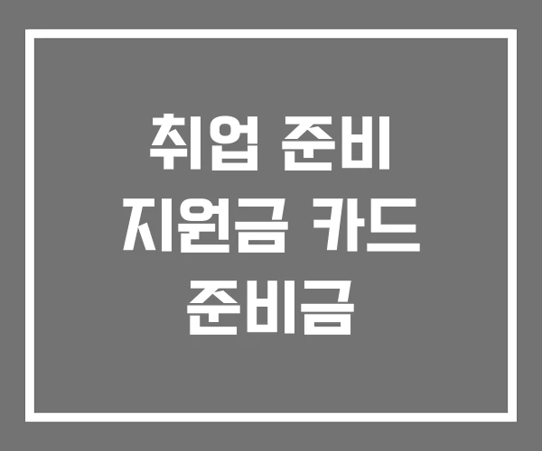 취업 준비 지원금 카드 준비금