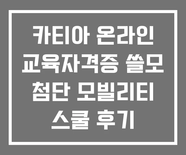 카티아 온라인 교육자격증 쓸모 첨단 모빌리티 스쿨 후기