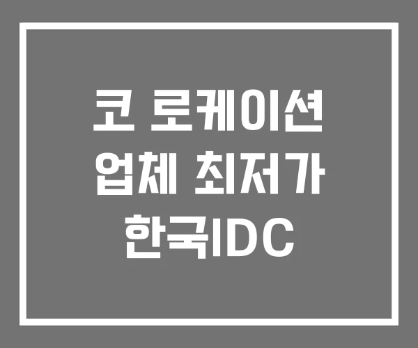 코 로케이션 업체 최저가 한국IDC