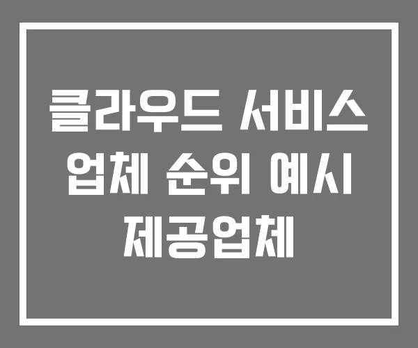 클라우드 서비스 업체 순위 예시 제공업체