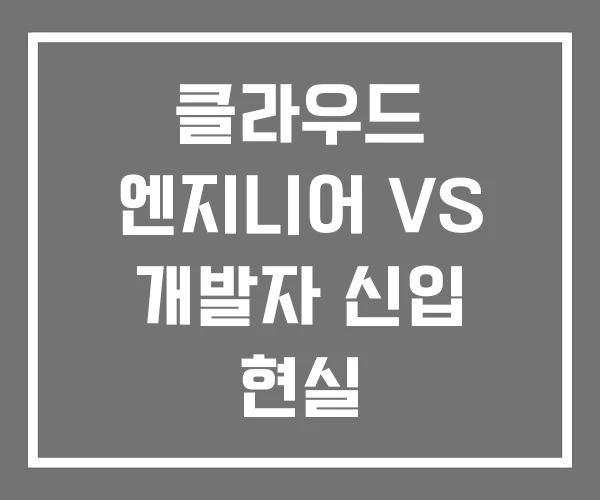 클라우드 엔지니어 VS 개발자 신입 현실