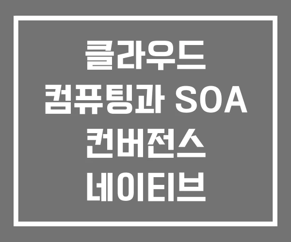 클라우드 컴퓨팅과 SOA 컨버전스 네이티브 컴퓨팅이란