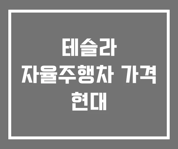 테슬라 자율주행차 가격 현대 테슬라 자율주행차 가격 현대