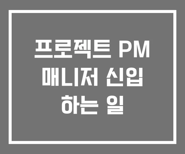 프로젝트 PM 매니저 신입 하는 일 프로젝트 PM 매니저 신입 하는 일