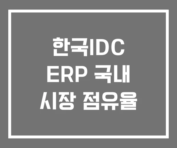 한국IDC ERP 국내 시장 점유율