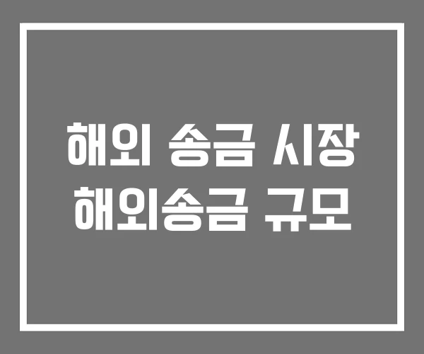 해외 송금 시장 해외송금 규모