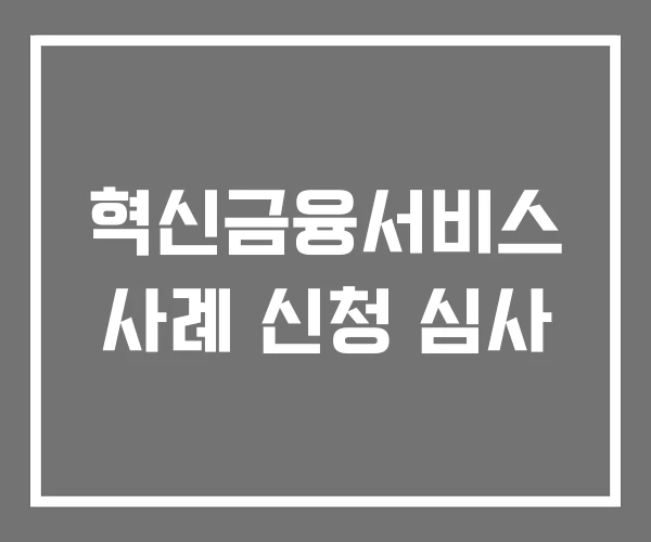 혁신금융서비스 사례 신청 심사